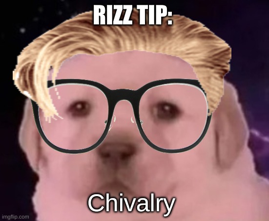 uncomfortable rizz tips pt 11 | RIZZ TIP:; Chivalry | image tagged in sp3x_ puppers,uncomfortable rizz tips | made w/ Imgflip meme maker