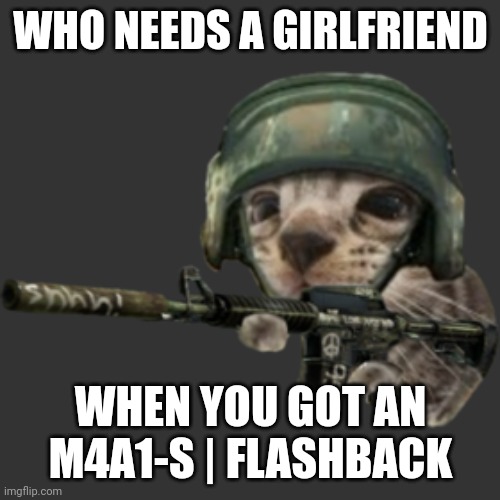 silly critter | WHO NEEDS A GIRLFRIEND; i am actually lonely af and need help but so has it been my entire life; WHEN YOU GOT AN M4A1-S | FLASHBACK | image tagged in silly critter | made w/ Imgflip meme maker