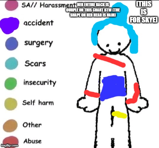 I've been trying to use Skye more, but here's her pain chart! | (THIS IS FOR SKYE); HER ENTIRE BACK IS OURPLE ON THIS CHART BTW (THE SHAPE ON HER HEAD IS HAIR) | image tagged in pain chart | made w/ Imgflip meme maker