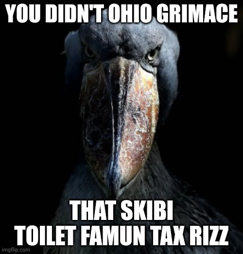 Shoebill stare | YOU DIDN'T OHIO GRIMACE; THAT SKIBI TOILET FAMUN TAX RIZZ | image tagged in shoebill stare | made w/ Imgflip meme maker
