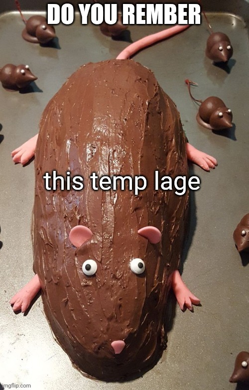 chocolate rat | DO YOU REMBER; this temp lage | image tagged in chocolate rat | made w/ Imgflip meme maker