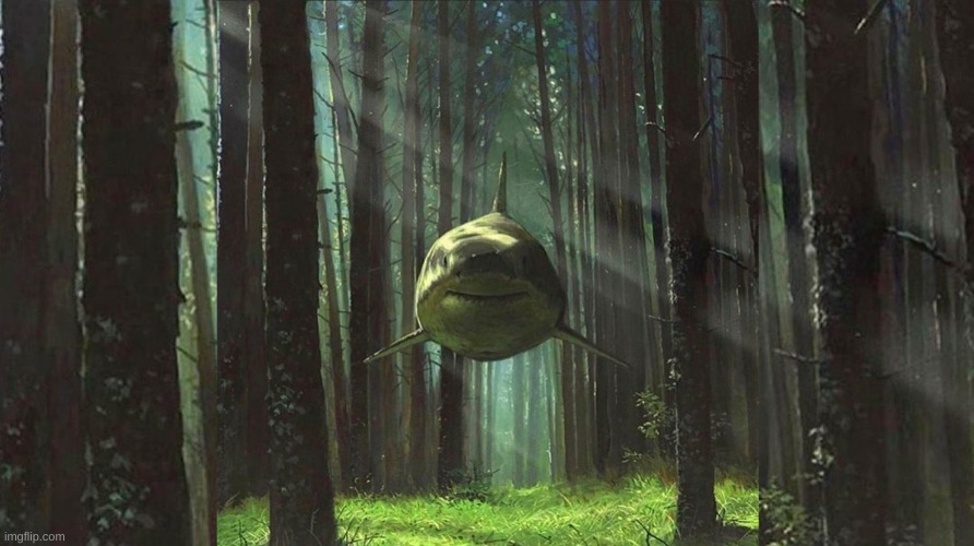 shark in forest | image tagged in shark in forest | made w/ Imgflip meme maker