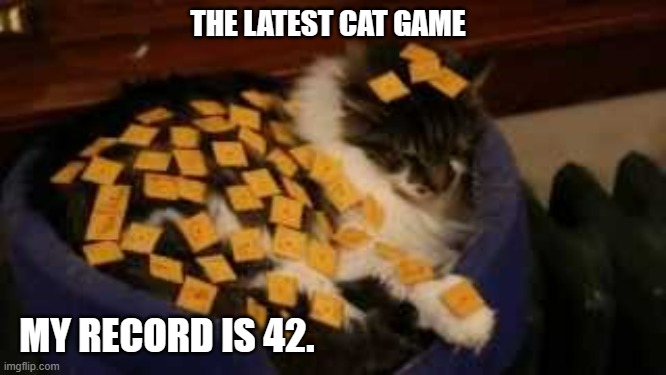meme by Brad A new cat game | THE LATEST CAT GAME; MY RECORD IS 42. | image tagged in cats,cat,cat meme,funny cat memes,humor,funny memes | made w/ Imgflip meme maker