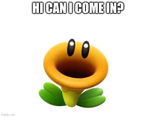 hi its the stupid flower | HI CAN I COME IN? | image tagged in talking flower | made w/ Imgflip meme maker