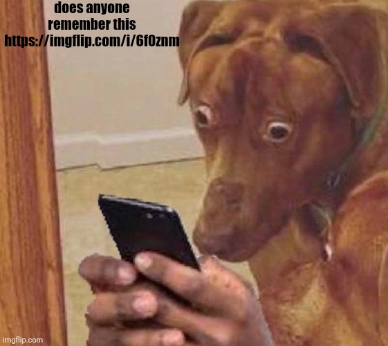 shocked dog | does anyone remember this https://imgflip.com/i/6f0znm | image tagged in shocked dog | made w/ Imgflip meme maker