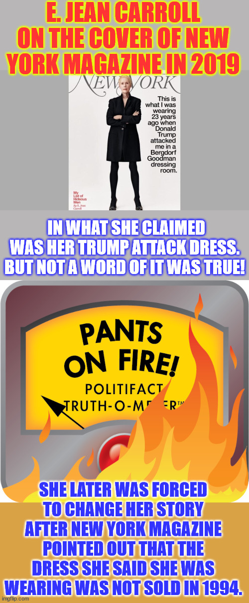 Liar liar... Pants on fire... | E. JEAN CARROLL ON THE COVER OF NEW YORK MAGAZINE IN 2019; IN WHAT SHE CLAIMED WAS HER TRUMP ATTACK DRESS. BUT NOT A WORD OF IT WAS TRUE! SHE LATER WAS FORCED TO CHANGE HER STORY AFTER NEW YORK MAGAZINE POINTED OUT THAT THE DRESS SHE SAID SHE WAS WEARING WAS NOT SOLD IN 1994. | image tagged in pants on fire politifact truth-o-meter,all the lies coming out,pedo hoffman,paying her lawyer bills,e jean liar | made w/ Imgflip meme maker