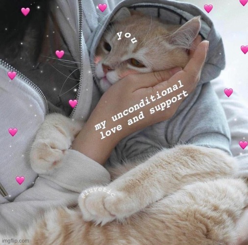 Cats | made w/ Imgflip meme maker