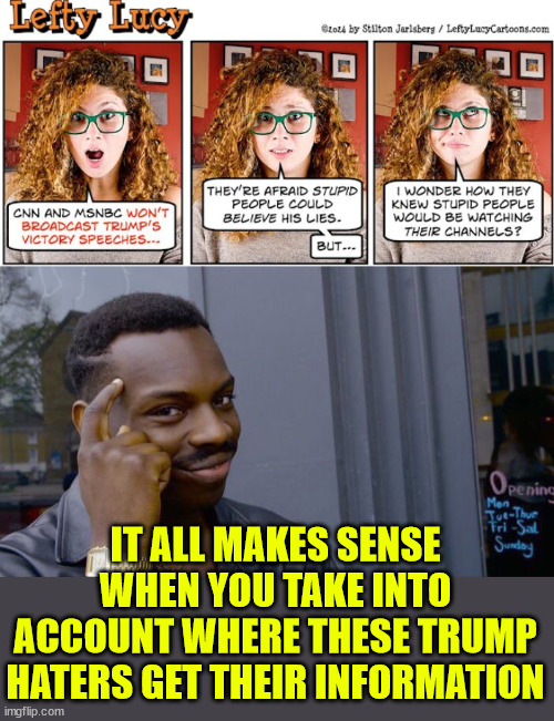 IT ALL MAKES SENSE WHEN YOU TAKE INTO ACCOUNT WHERE THESE TRUMP HATERS GET THEIR INFORMATION | image tagged in memes,roll safe think about it | made w/ Imgflip meme maker