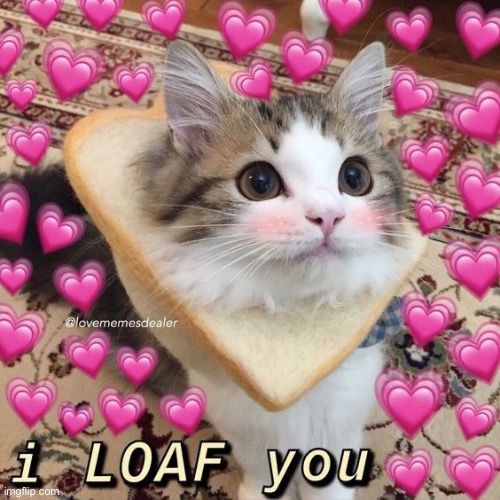 Loaf bread are delicious | made w/ Imgflip meme maker