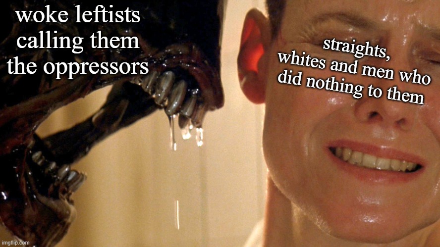 they love getting into peoples faces | woke leftists calling them the oppressors; straights, whites and men who did nothing to them | image tagged in xenomorph alien | made w/ Imgflip meme maker