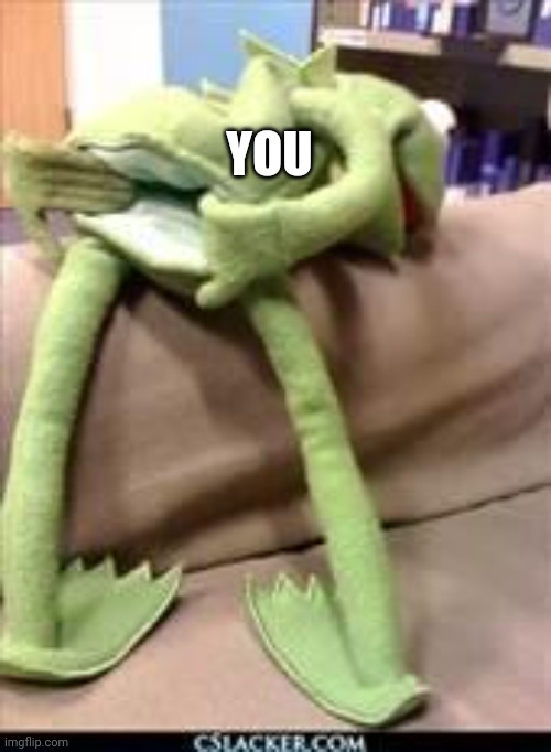 YOU | image tagged in gay kermit | made w/ Imgflip meme maker