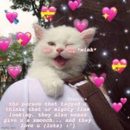 @MSMG | image tagged in msmg | made w/ Imgflip meme maker