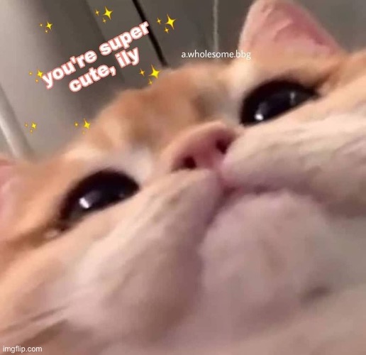 Woohoo | made w/ Imgflip meme maker