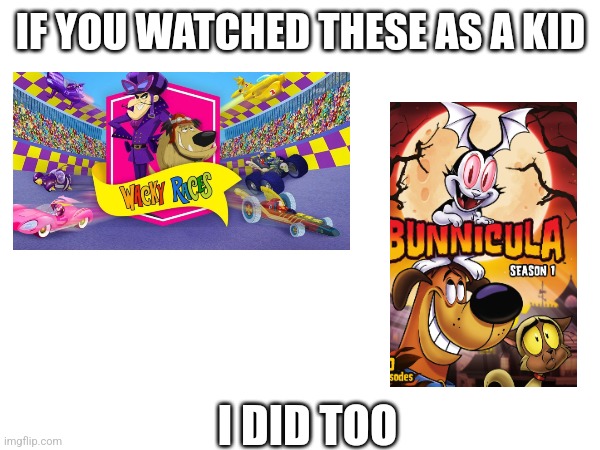 Please tell me other people watched these and not just me because they were awesome | IF YOU WATCHED THESE AS A KID; I DID TOO | image tagged in boomerang,tv shows | made w/ Imgflip meme maker