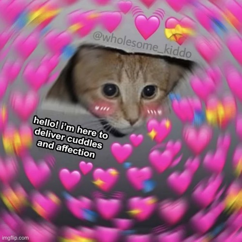 /r wholesome | made w/ Imgflip meme maker