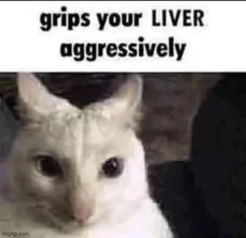 Liver | made w/ Imgflip meme maker