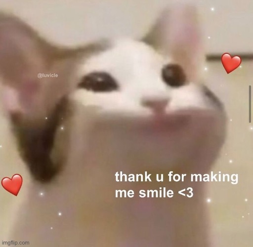 Bop cat | made w/ Imgflip meme maker