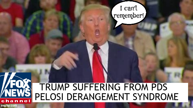 Trump suffering from PDS | I can't remember! TRUMP SUFFERING FROM PDS; PELOSI DERANGEMENT SYNDROME | image tagged in nikki or nancy,pelosi owns trump,trump's dementia,senile,maga malignate,i can't remember | made w/ Imgflip meme maker