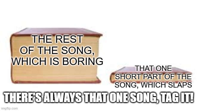Big book small book | THE REST OF THE SONG, WHICH IS BORING; THAT ONE SHORT PART OF THE SONG, WHICH SLAPS; THERE'S ALWAYS THAT ONE SONG, TAG IT! | image tagged in big book small book | made w/ Imgflip meme maker