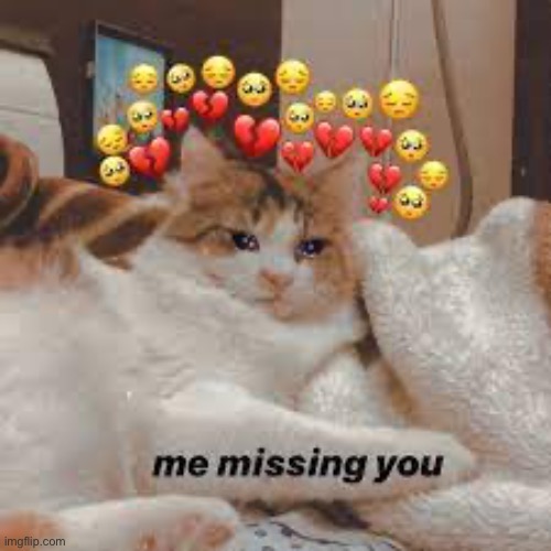 Now to drive and pick up my friends to watch a movie, bye <3 | made w/ Imgflip meme maker