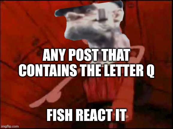 Below* | ANY POST THAT CONTAINS THE LETTER Q; FISH REACT IT | image tagged in that post fish react it | made w/ Imgflip meme maker