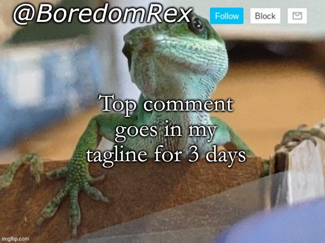 I was bored af, i'm gonna regret this | Top comment goes in my tagline for 3 days | image tagged in boredomrex announcement template | made w/ Imgflip meme maker