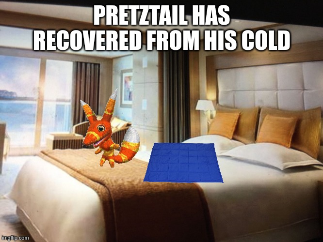 well that was a pain for him | PRETZTAIL HAS RECOVERED FROM HIS COLD | image tagged in cruise ship bedroom | made w/ Imgflip meme maker