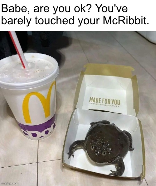 You've barely touched your McRibbit | Babe, are you ok? You've barely touched your McRibbit. | image tagged in babe | made w/ Imgflip meme maker