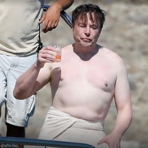 Who's built like elon | image tagged in elon musk drunk | made w/ Imgflip meme maker