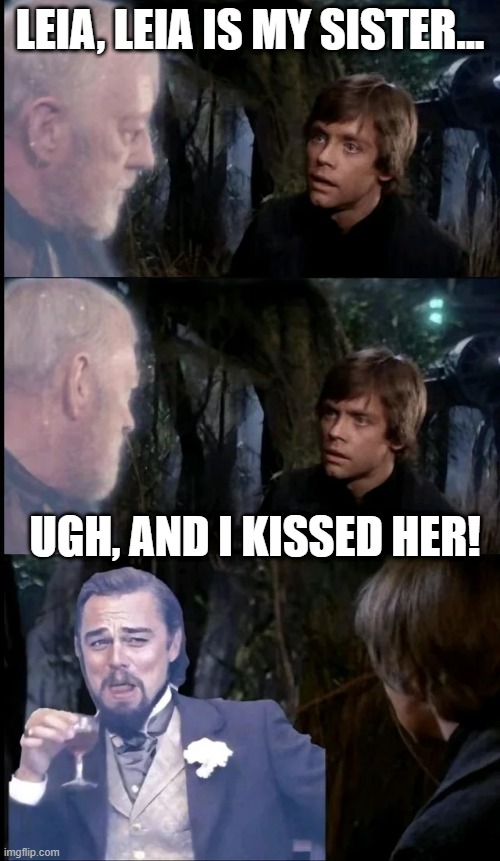 I Kissed My Sister | LEIA, LEIA IS MY SISTER... UGH, AND I KISSED HER! | image tagged in star wars,luke skywalker | made w/ Imgflip meme maker