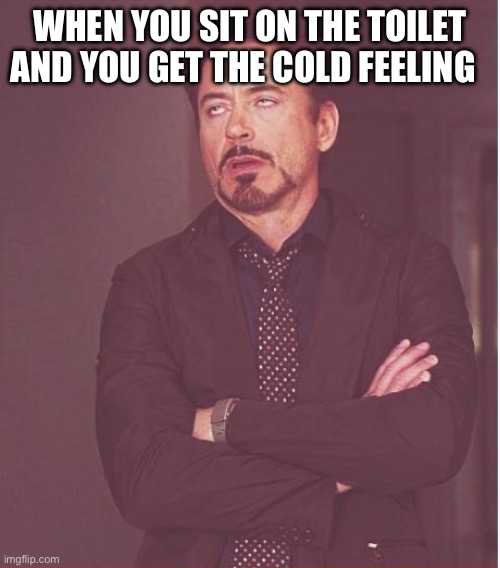 Face You Make Robert Downey Jr Meme | WHEN YOU SIT ON THE TOILET AND YOU GET THE COLD FEELING | image tagged in memes,face you make robert downey jr,toilet humor | made w/ Imgflip meme maker