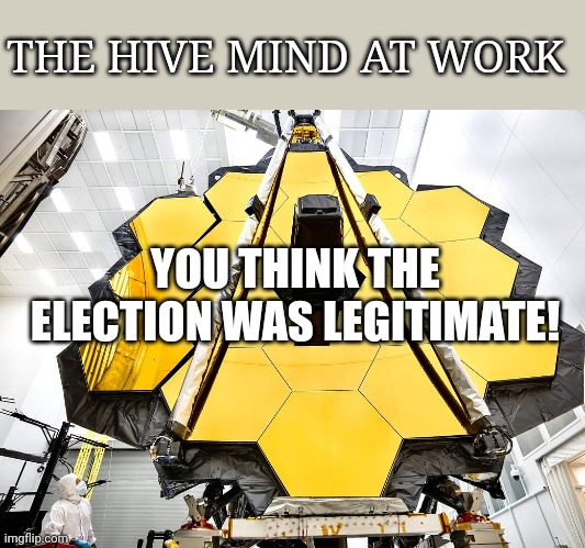Hive mind | YOU THINK THE ELECTION WAS LEGITIMATE! THE HIVE MIND AT WORK | image tagged in hive mind | made w/ Imgflip meme maker