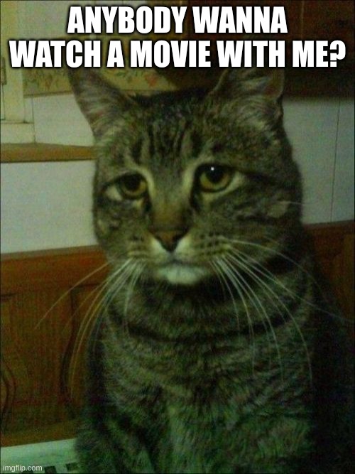 Depressed Cat Meme | ANYBODY WANNA WATCH A MOVIE WITH ME? | image tagged in memes,depressed cat | made w/ Imgflip meme maker