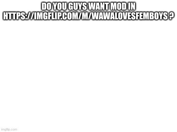DO YOU GUYS WANT MOD IN HTTPS://IMGFLIP.COM/M/WAWALOVESFEMBOYS ? | made w/ Imgflip meme maker