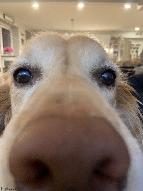 got on you games phone your? | made w/ Imgflip meme maker