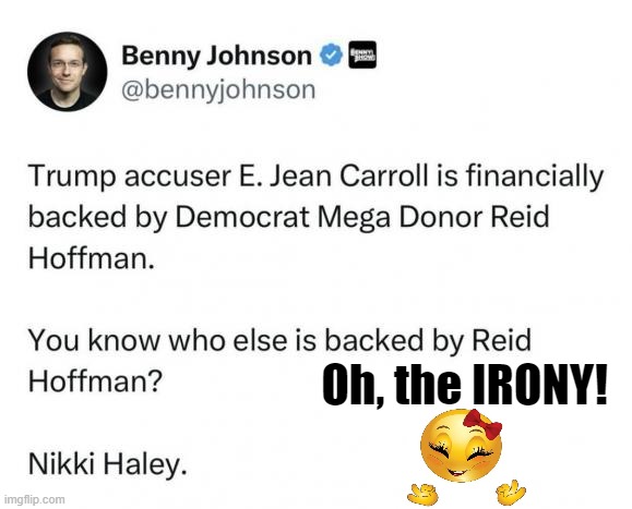 Hmmm | Oh, the IRONY! | image tagged in politics,democrat,nikki haley,in bed together,donald trump,you can't make this stuff up | made w/ Imgflip meme maker