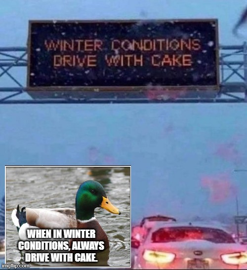 Drive with cake | WHEN IN WINTER CONDITIONS, ALWAYS DRIVE WITH CAKE. | image tagged in signs,road signs,cars,driving,you had one job,actual advice mallard | made w/ Imgflip meme maker