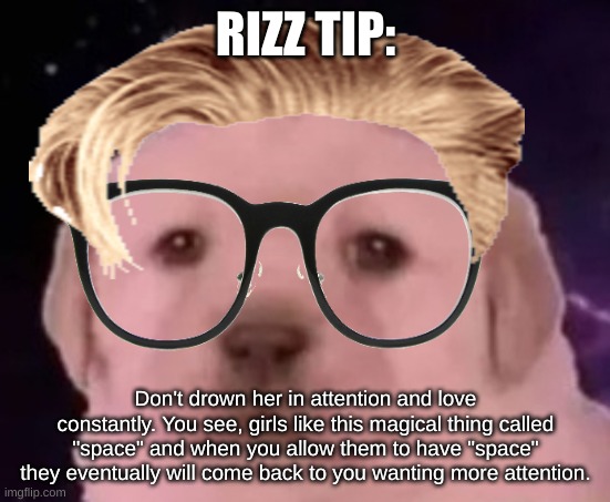 uncomfortable rizz tips pt 13 | RIZZ TIP:; Don't drown her in attention and love constantly. You see, girls like this magical thing called "space" and when you allow them to have "space" they eventually will come back to you wanting more attention. | image tagged in sp3x_ puppers,uncomfortable rizz tips | made w/ Imgflip meme maker