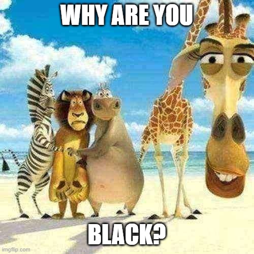 why are you white | WHY ARE YOU BLACK? | image tagged in why are you white | made w/ Imgflip meme maker