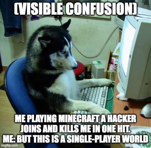 I Have No Idea What I Am Doing Meme | (VISIBLE CONFUSION); ME PLAYING MINECRAFT A HACKER JOINS AND KILLS ME IN ONE HIT. ME: BUT THIS IS A SINGLE-PLAYER WORLD | image tagged in memes,i have no idea what i am doing | made w/ Imgflip meme maker