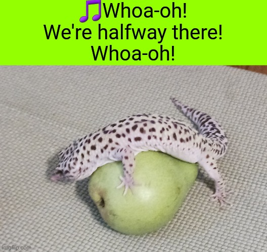 (That's actually my brother's lizard BTW) | 🎵Whoa-oh!
We're halfway there!
Whoa-oh! | image tagged in lizard,pear,livin on a prayer,bon jovi,song,song lyrics | made w/ Imgflip meme maker