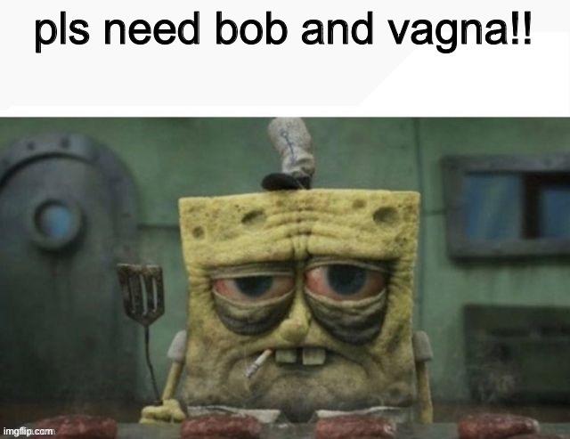 depressed spongebob | pls need bob and vagna!! | image tagged in depressed spongebob | made w/ Imgflip meme maker
