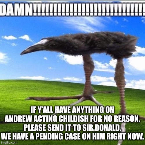 Like we’ve already got a case. | IF Y’ALL HAVE ANYTHING ON ANDREW ACTING CHILDISH FOR NO REASON, PLEASE SEND IT TO SIR.DONALD, WE HAVE A PENDING CASE ON HIM RIGHT NOW. | made w/ Imgflip meme maker