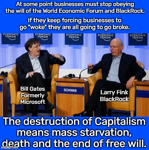 These people don't care about your well being.  They are power hungry dictators and they control Joe Biden. | At some point businesses must stop obeying the will of the World Economic Forum and BlackRock. If they keep forcing businesses to go "woke" they are all going to go broke. Bill Gates
Formerly Microsoft; Larry Fink
BlackRock; The destruction of Capitalism means mass starvation, death and the end of free will. | image tagged in new world order,global fascism,you will own nothing,mass death | made w/ Imgflip meme maker
