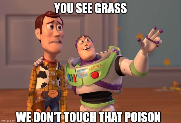 X, X Everywhere | YOU SEE GRASS; WE DON'T TOUCH THAT POISON | image tagged in memes,x x everywhere | made w/ Imgflip meme maker