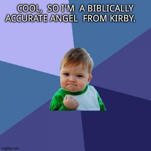 Success Kid Meme | COOL,  SO I'M  A BIBLICALLY ACCURATE ANGEL  FROM KIRBY. | image tagged in memes,success kid | made w/ Imgflip meme maker