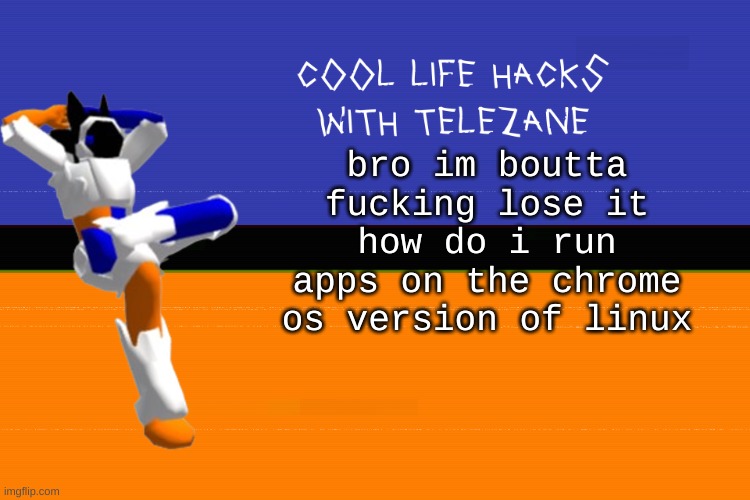 [[audible screeching]] | bro im boutta fucking lose it how do i run apps on the chrome os version of linux | image tagged in cool life hacks with telezane | made w/ Imgflip meme maker