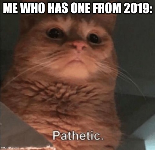 Pathetic Cat | ME WHO HAS ONE FROM 2019: | image tagged in pathetic cat | made w/ Imgflip meme maker