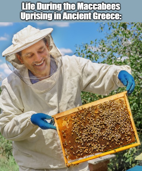 Historical Eyerolls | Life During the Maccabees Uprising in Ancient Greece: | image tagged in beekeeper,jews,eyeroll meme,greeks,groan pun,historyish | made w/ Imgflip meme maker