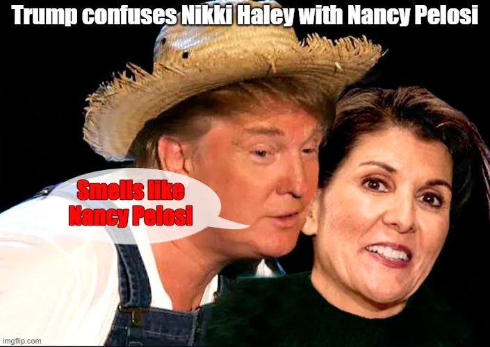 Dementia Don doesn't know who he's running against! | Trump confuses Nikki Haley with Nancy Pelosi; Smells like
Nancy Pelosi | image tagged in donald trump,nikki haley,nancy pelosi,dementia | made w/ Imgflip meme maker